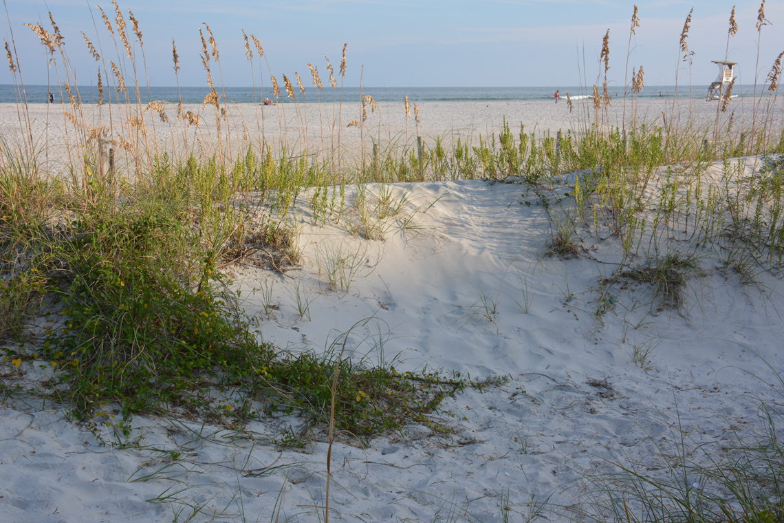 Wilmington, NC Campgrounds and RV Parks - Wilmington-NC.com