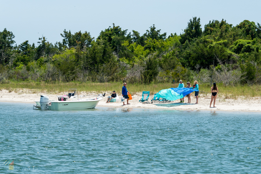 Rachel Carson Reserve in Beaufort NC