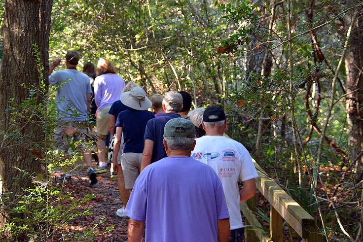 A guided tour hikes through Bald Head Woods, NC