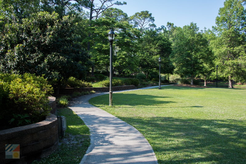 Long Leaf Park