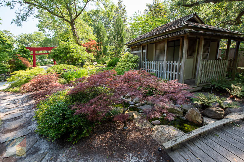 New Hanover County Arboretum