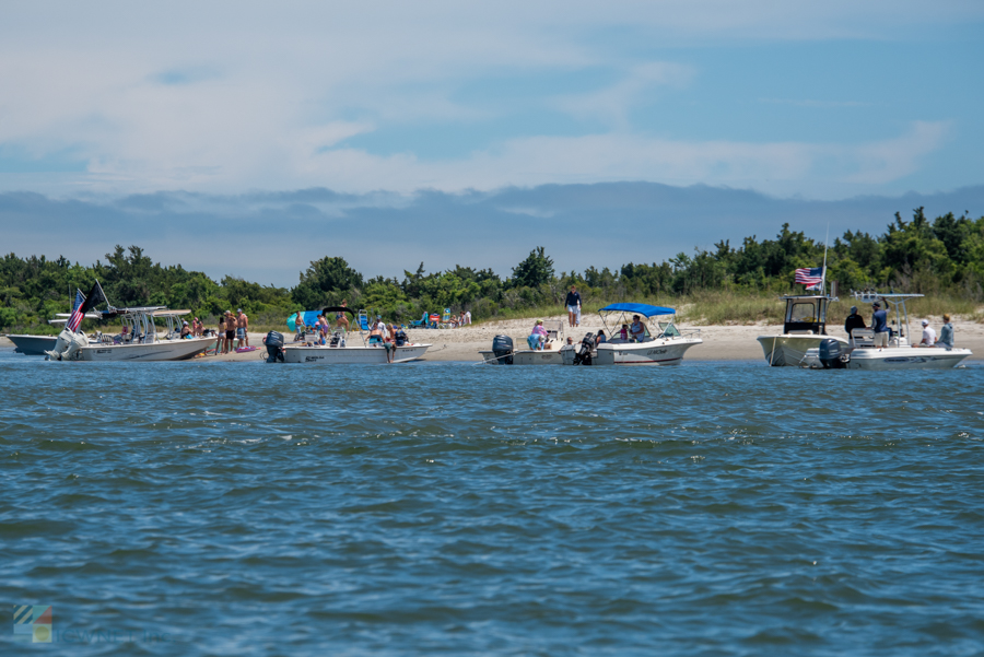 Rachel Carson Coastal Reserve