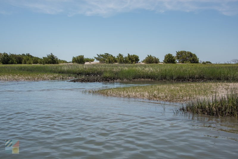 Rachel Carson Estuarine Reserve