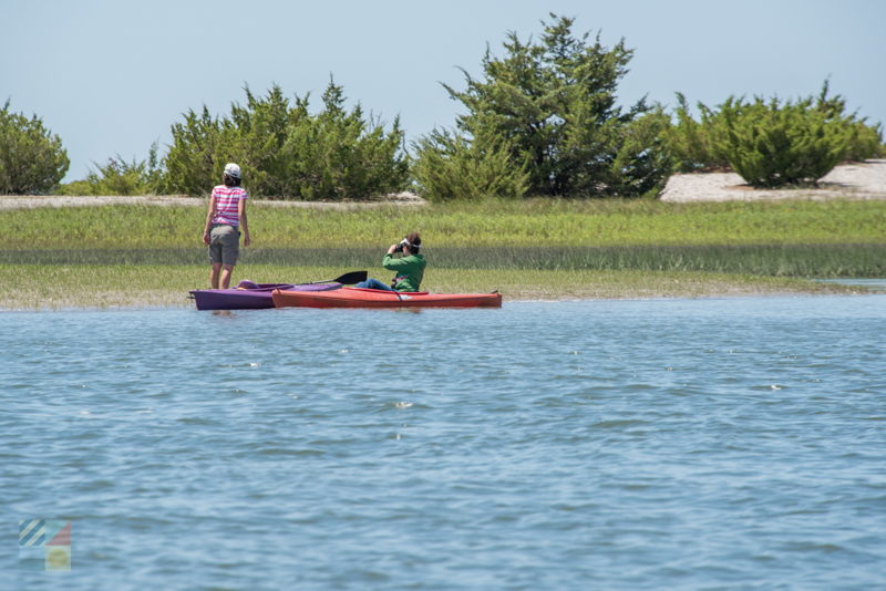 Rachel Carson Estuarine Reserve