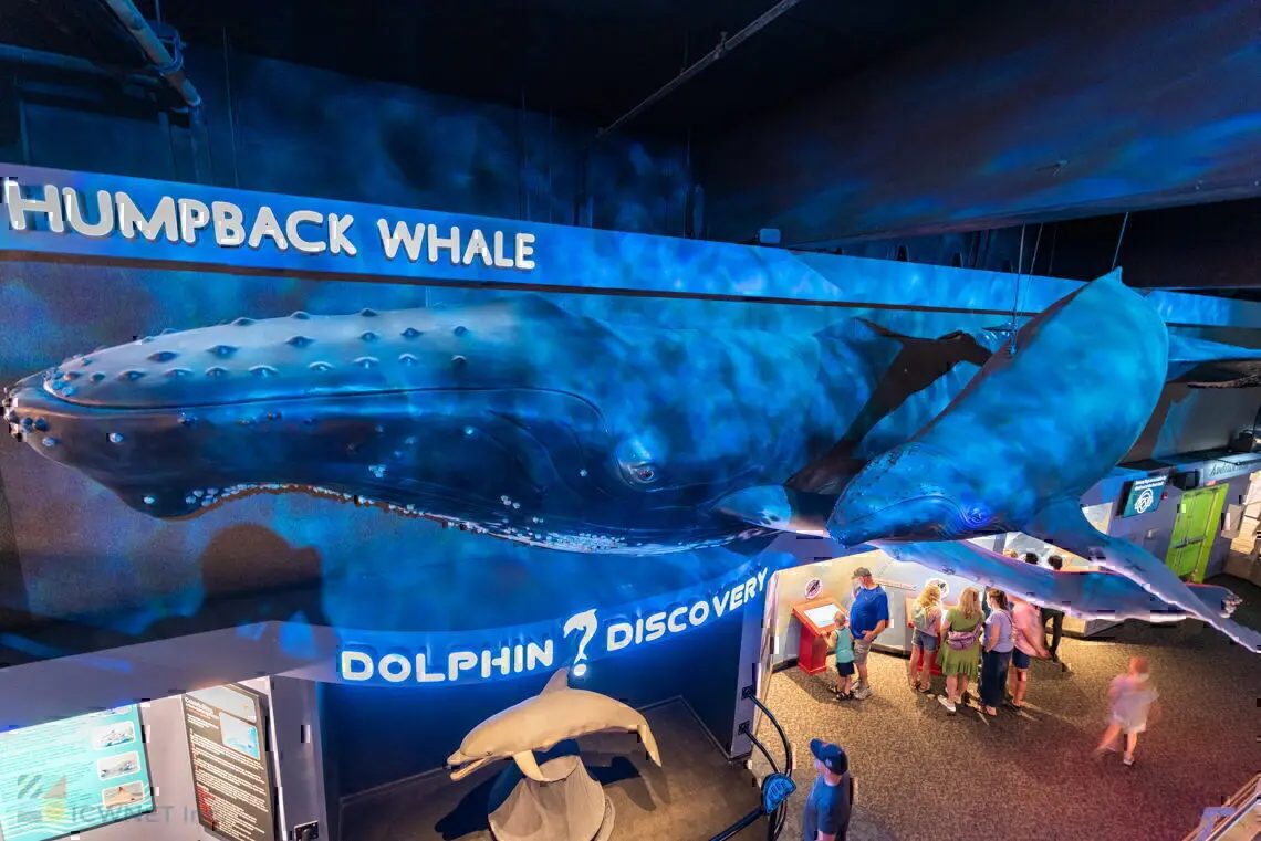 Wilmington, NC Photo Tours and Travel Information