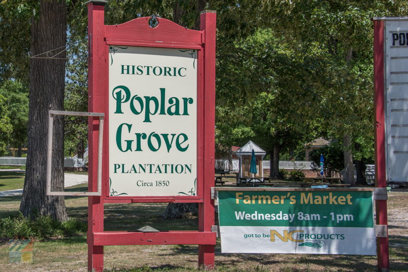 Poplar Grove Plantation