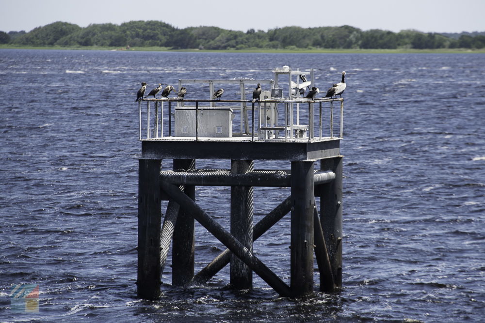 Cape Fear River