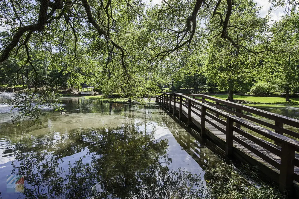 Activities for Kids in Wilmington, NC