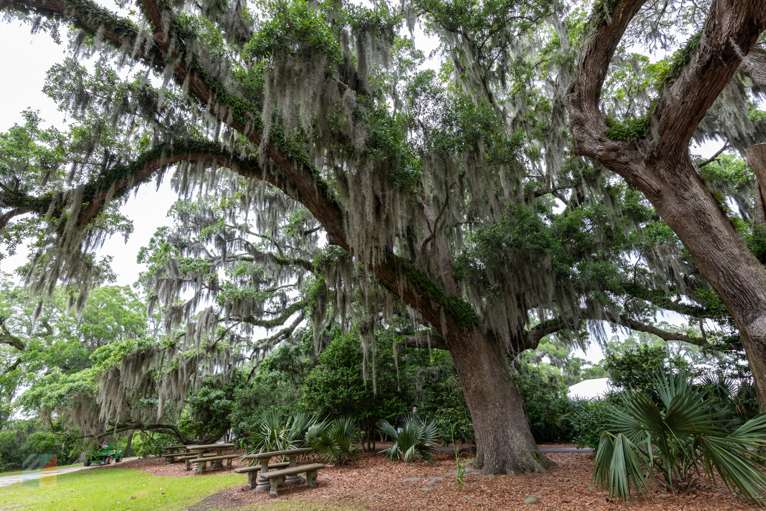 Airlie Gardens