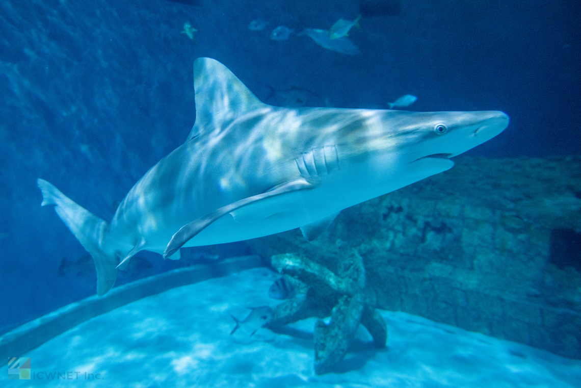Rainy Day Activities in Wilmington NC - Wilmington-NC.com