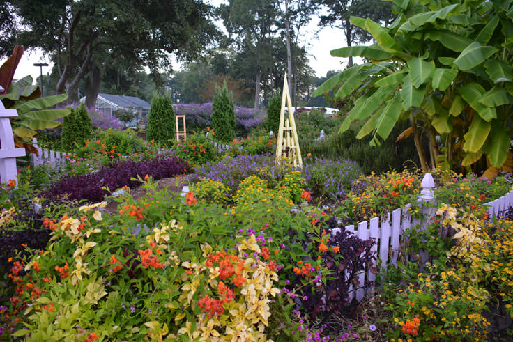 New Hanover County Arboretum in Wilmington, NC