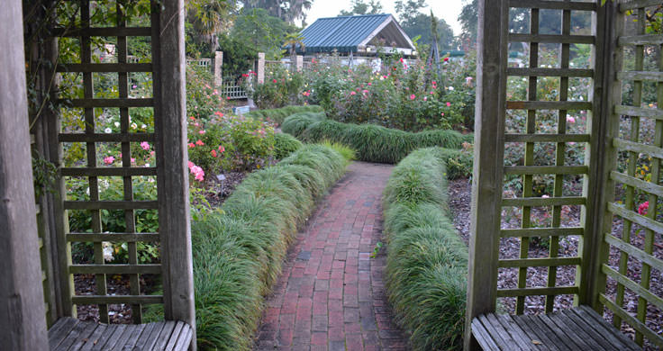 New Hanover County Arboretum in Wilmington, NC