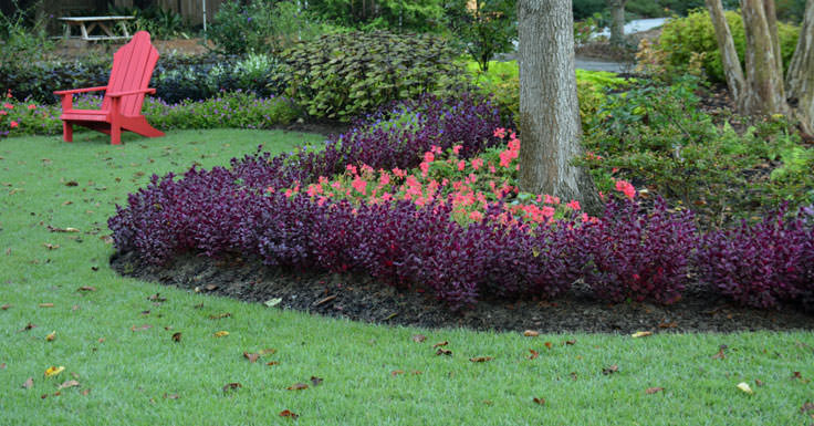 New Hanover County Arboretum in Wilmington, NC