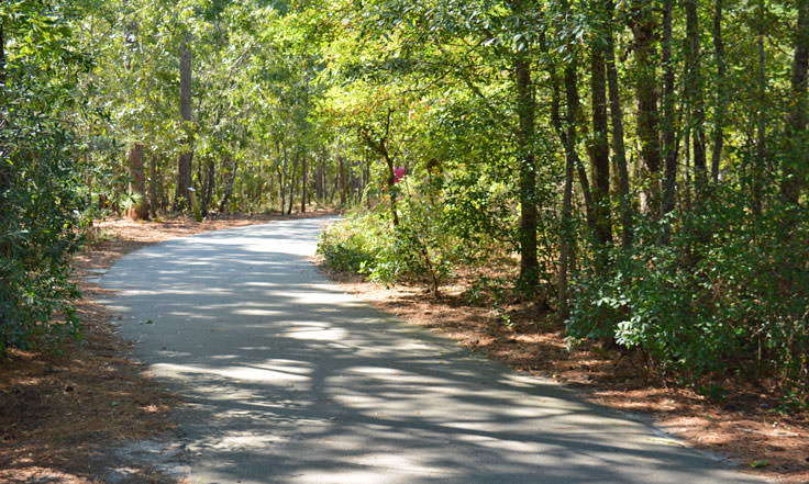 A walking path at Halyburton Park in Wilmington, NC