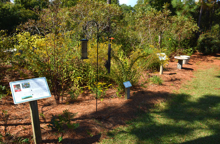 Halyburton Park gardens in Wilmington, NC