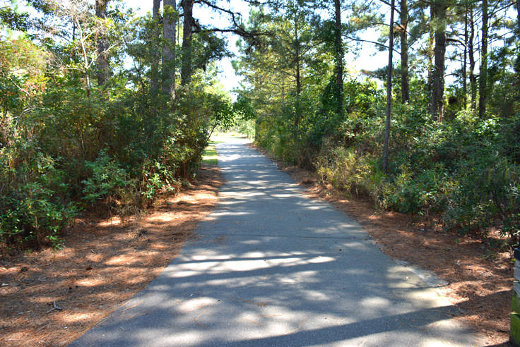 A walking path at Halyburton Park in Wilmington, NC