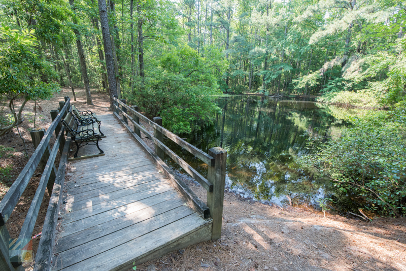 Bluethenthal Wildflower  Preserve