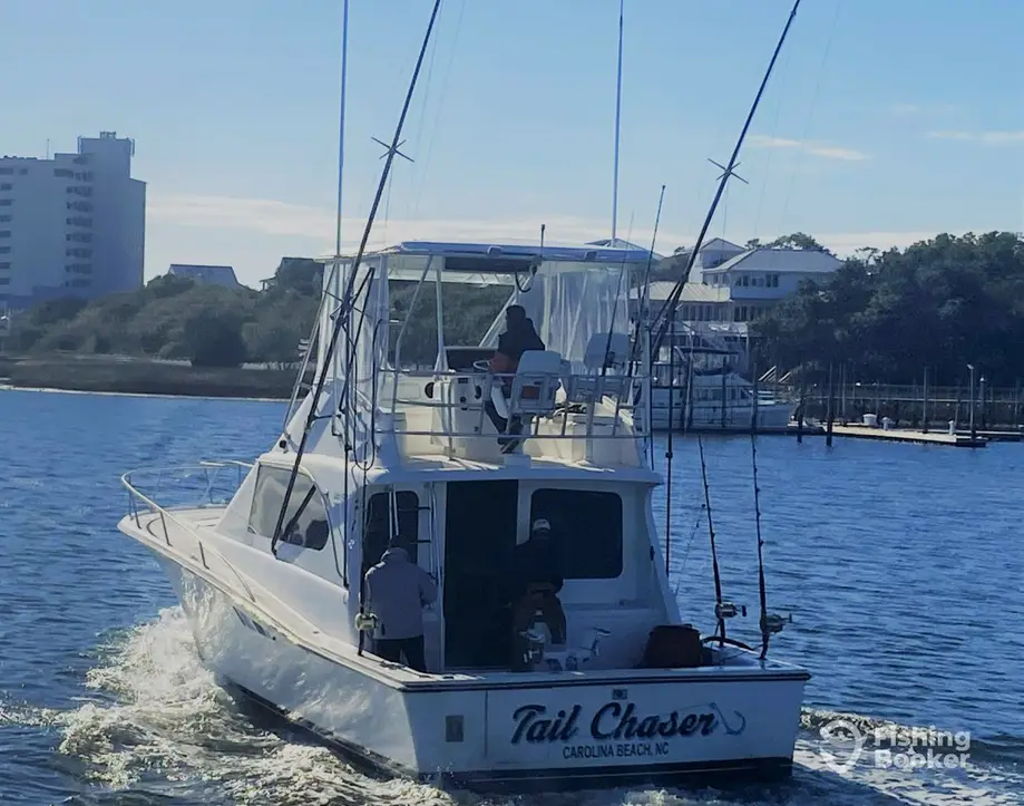 Carolina beach discount charter fishing